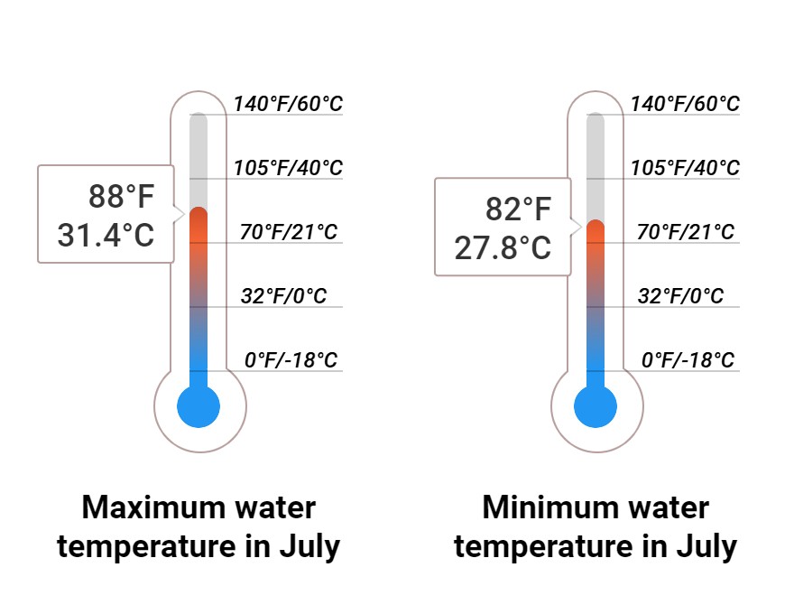 Average Sea temperature